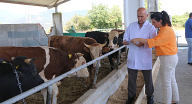 ‘Atakum Belediyesi Kurban Satış ve Kesim Yeri’ bayrama hazır