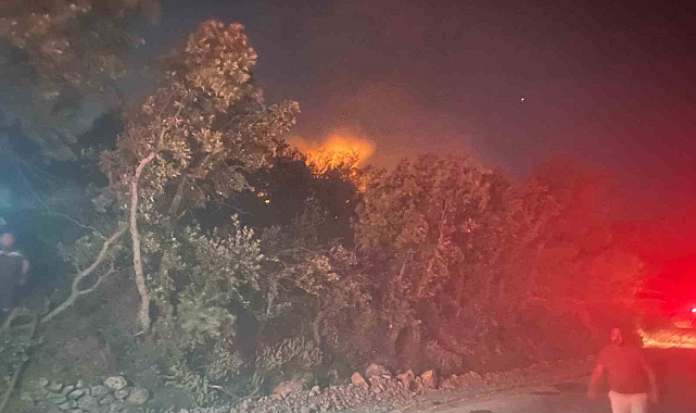 Ayvacık'ta orman yangını: 1 köy boşaltıldı