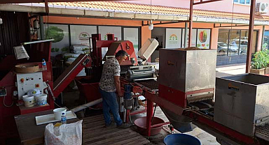 Bafra Ovası'nda kışlık sebze üretimi için hazırlıklar başladı