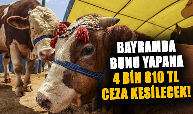 Bayramda bunu yapana 4 bin 810 TL ceza kesilecek!
