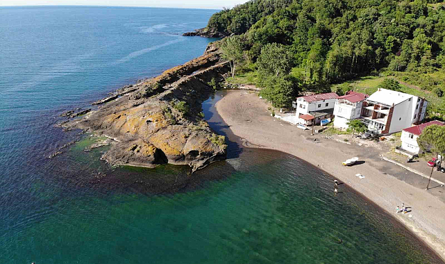 Bu adayı görenler timsah sanıyor