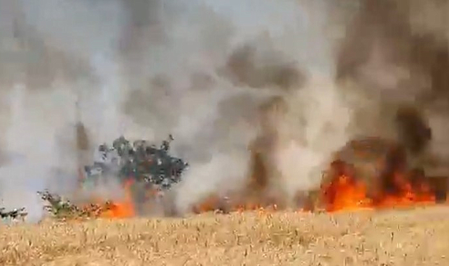 Buğday tarlası alev alev yandı