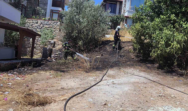 Datça'da mahalle ortasında korkutan yangın