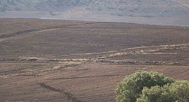 Diyarbakır'da yangınının boyutu gün ağarınca ortaya çıktı