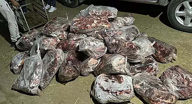 Domuz eti baskını: 1 ton ele geçirildi