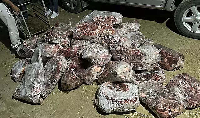 Domuz eti baskını: 1 ton ele geçirildi