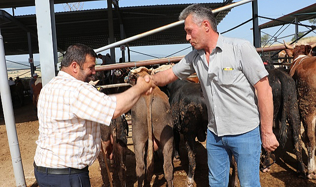 Havza'da Kurban Bayramı hareketliliği başladı
