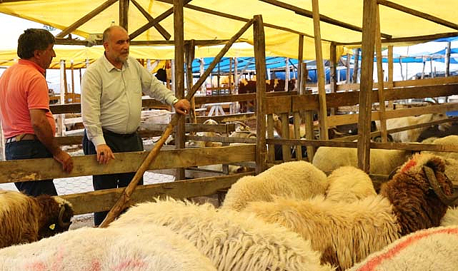 İbrahim Sandıkçı: Denetimlerimizi aralıksız sürdürüyoruz