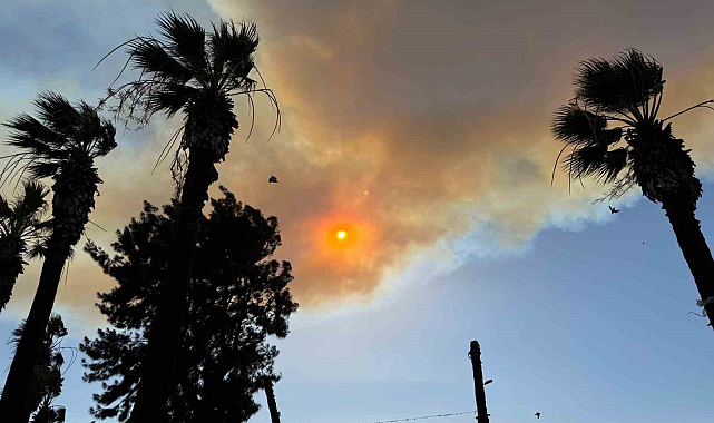 İzmir'deki orman yangını Kuşadası'nı duman bulutuna boğdu