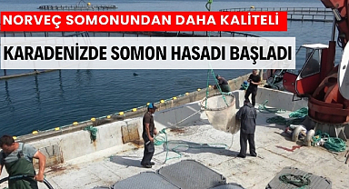 Karadeniz'de Türk somonu hasadı Samsun'da başladı