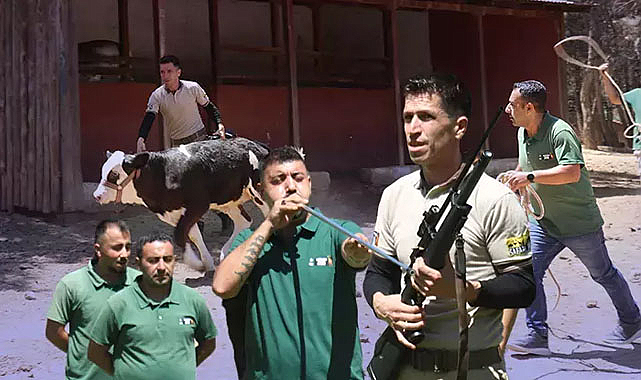 Kurban Yakalama Timi kuruldu