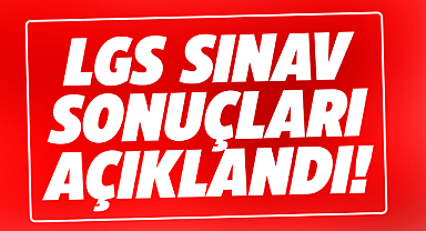 LGS 2024 sınav sonuçları açıklandı! LGS sonuç sorgulama ekranı
