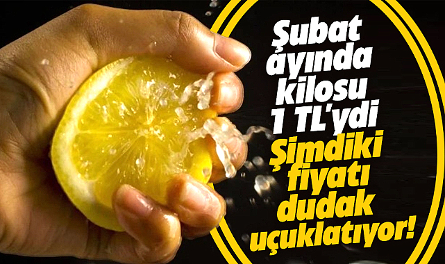 Limonun kilosu Şubat ayında 1 TL'ydi! Şimdiki fiyatı dudak uçuklatıyor
