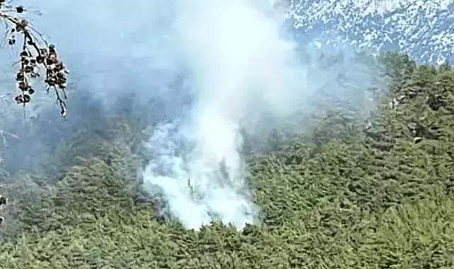 Manavgat'ta orman yangını çıktı