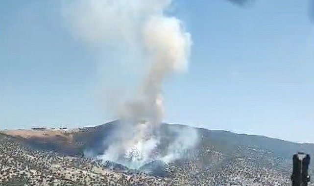 Manisa'da orman yangını