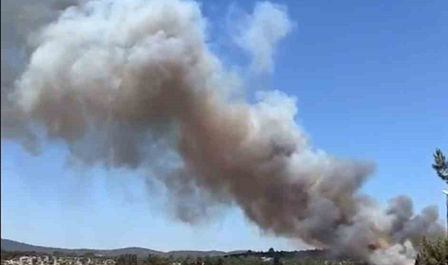 Milas'ta orman yangını