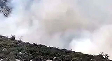 Muğla'daki orman yangınının sebebi belli oldu