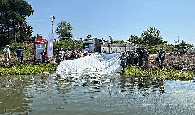 Nesli tehlike altındaki balıklar Yeşilırmak'a salındı