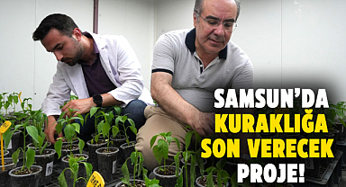 OMÜ'den kuraklığa dayanıklı biber projesi
