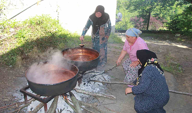 Ordulu kadınların dut pekmezi mesaisi