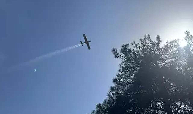 Orman yangınıyla ilgili soruşturma