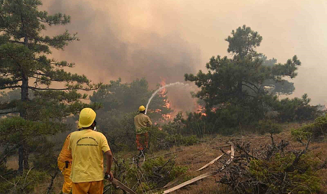 Ormanlık alanlara girişler yasaklandı