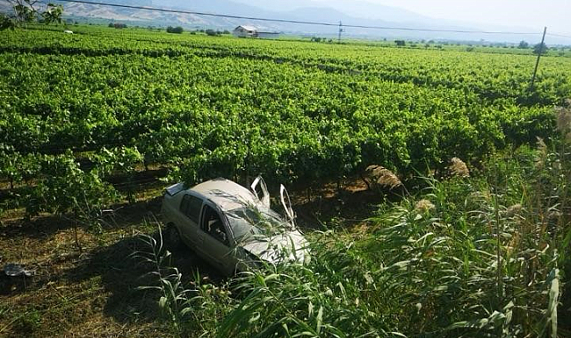Otomobil üzüm bağına uçtu, sürücü ölümden döndü