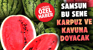 Samsun bu sene karpuz ve kavuna doyacak