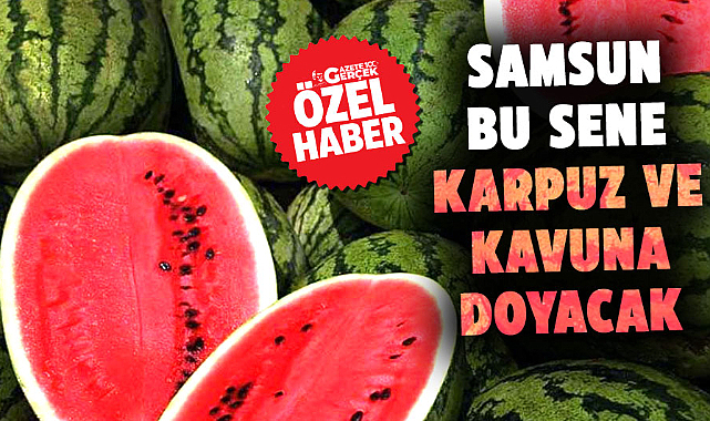 Samsun bu sene karpuz ve kavuna doyacak