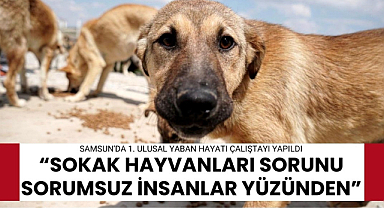 Samsun'da 1. Ulusal Yaban Hayatı Çalıştayı yapıldı 'Sokak hayvanları sorunu sorumsuz insanlar yüzünden'