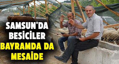 Samsun'da besiciler bayramda da mesaide