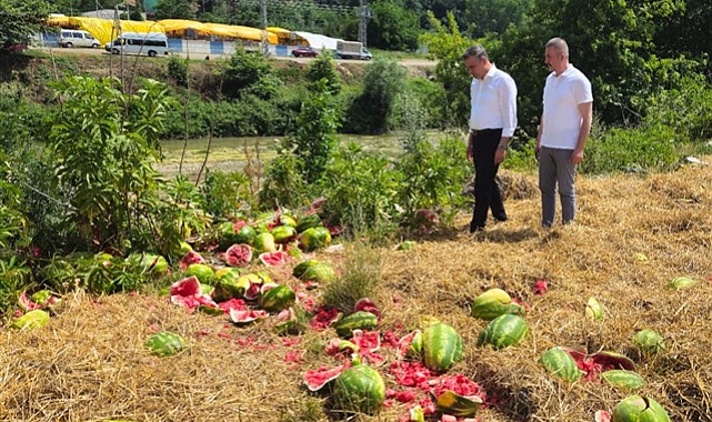Samsun'da çevreyi kirleten nakliye firmasına para cezası