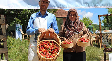 Samsun'da çilek yetiştiriciliği eğitimi düzenlendi