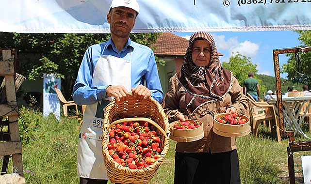 Samsun'da çilek yetiştiriciliği eğitimi düzenlendi
