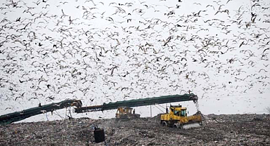 Samsun'da günlük bin ton çöp bertaraf ediliyor