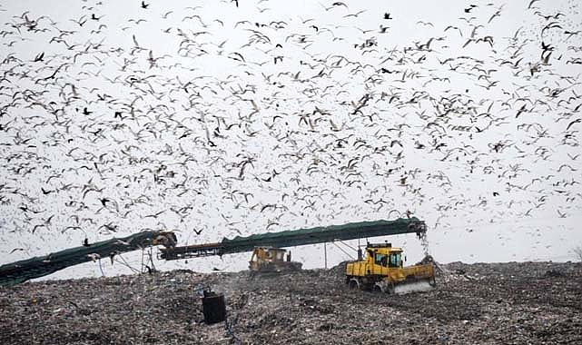 Samsun'da günlük bin ton çöp bertaraf ediliyor