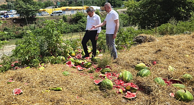 Samsun'da ırmak kenarına karpuz dökülmesine inceleme