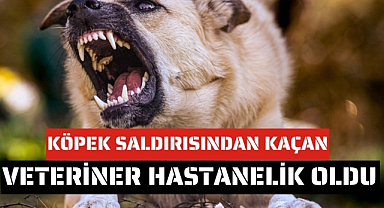 Samsun'da köpekten kaçmaya çalışırken yaralandı   