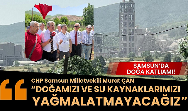 Samsun'da Köseli Mahallesi'nde doğa katliamı CHP Milletvekili Murat Çan: 'Doğamızı yağmalatmayacağız'
