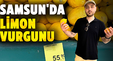Samsun'da limon vurgunu: Bahçede çürümeye terk edilen limonun fiyatı 55 TL'ye uçtu!