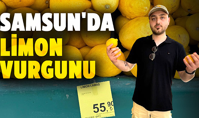 Samsun'da limon vurgunu: Bahçede çürümeye terk edilen limonun fiyatı 55 TL'ye uçtu!