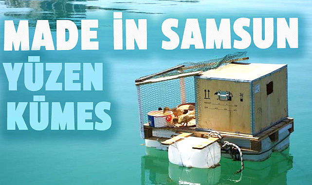 Samsun'da ördekleri için denize yüzen kümes yaptılar