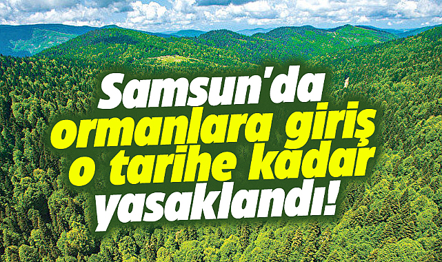 Samsun'da ormanlara giriş o tarihe kadar yasaklandı!