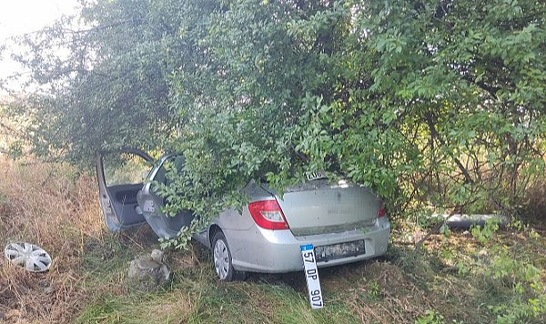 Samsun'da otomobil ağaca çarptı