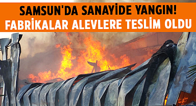 Samsun'da sanayide yangın! Fabrikalar alevlere teslim oldu