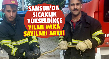 Samsun’da sıcaklık yükseldikçe yılan vaka sayıları arttı