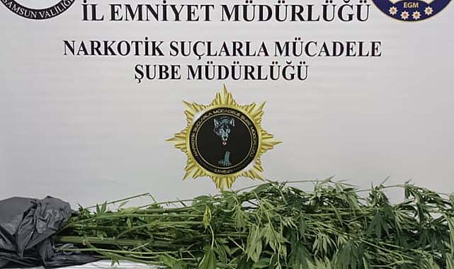 Samsun'da uyuşturucu operasyonunda bir kişi yakalandı