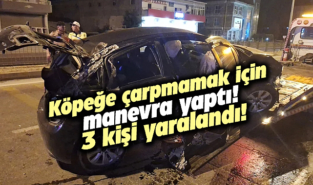 Samsun-Sinop karayolunda köpeğe çarpmamak için manevra yapan araç kaza yaptı