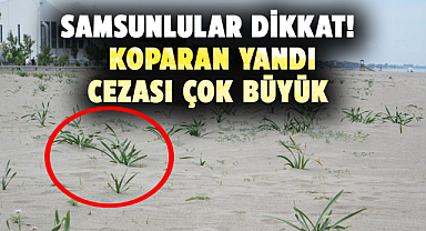 Samsunlular dikkat! Kum zambağını koparan yandı cezası çok büyük