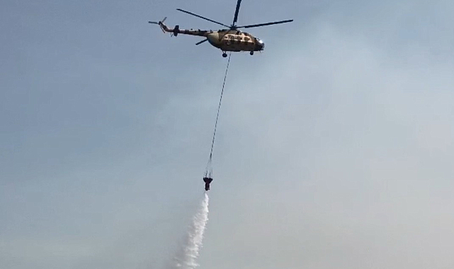 Sinop'taki orman yangını kontrol altına alındı